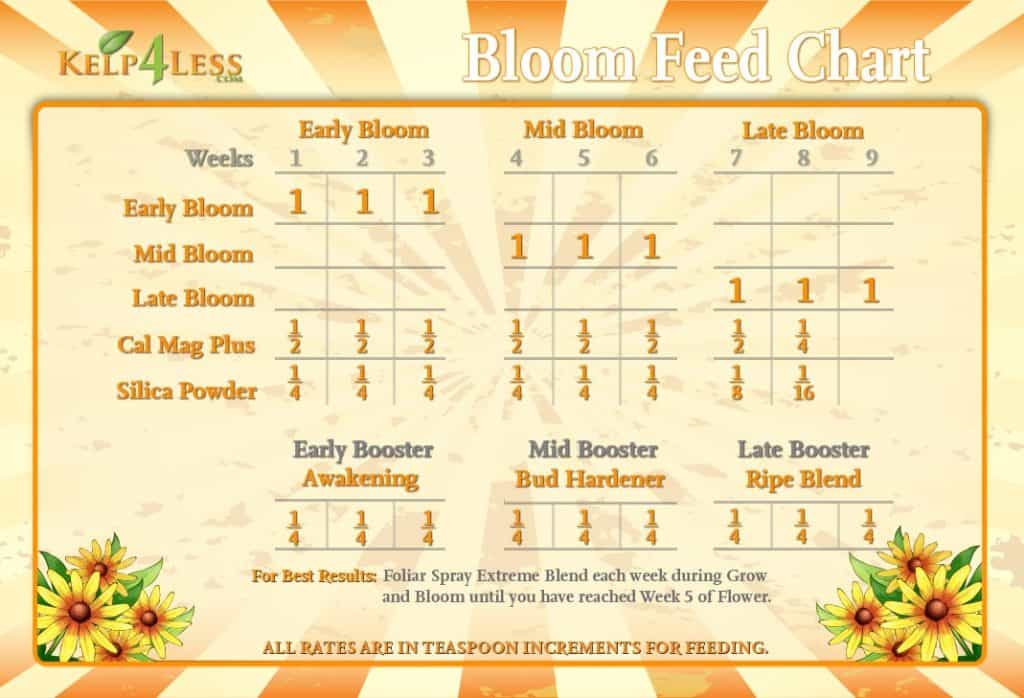 Bloom Feed Chart Kelp4less